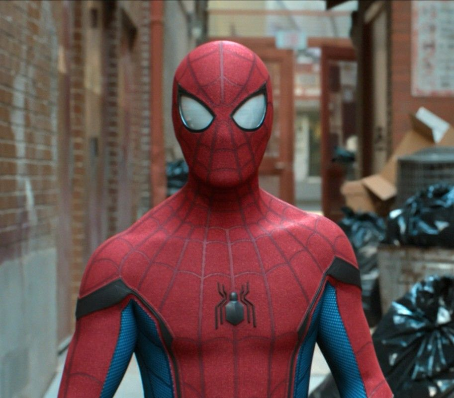 ピーター・パーカー / スパイダーマン（2）